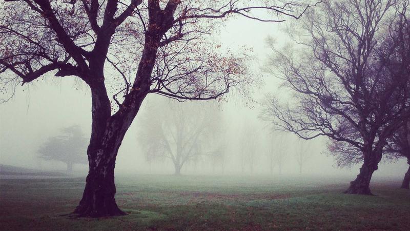 Giá vàng thế giới lấy lại mốc $5000: Biến động mạnh và những yếu tố then chốt cần quan tâm